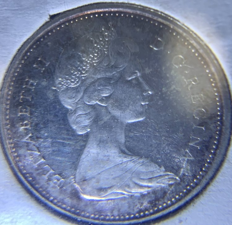 A-Running-Chain-Of-That-Coin-Dude's-World-Coin-Finds.
